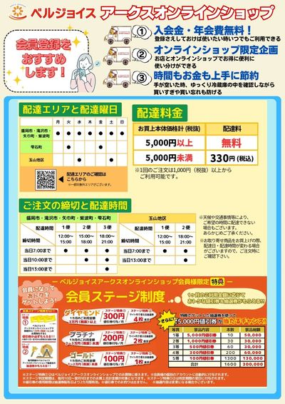 ネットスーパー限定チラシ