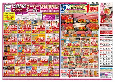 1/16号 カメさんデー/冬の韓国フェア:オモテ