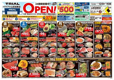 トライアル 山武成東店_表
