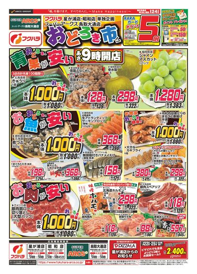 チラシ　10枚 くすりのマルト 最新チラシ情報（茨城版）2022年12月20日号