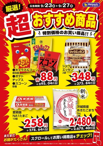 厳選!超おすすめ商品
