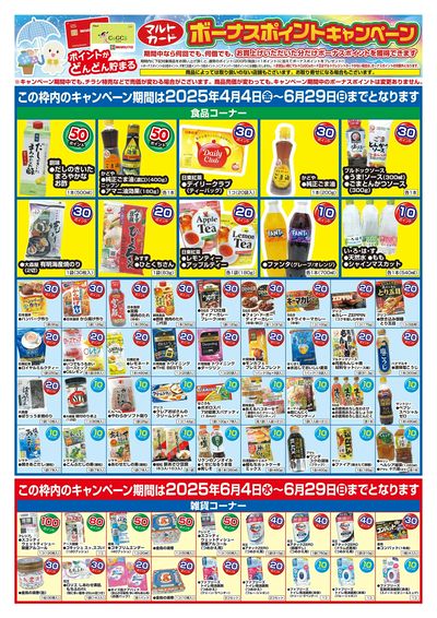 マルトカード ボーナスポイントキャンペーン ウラ