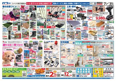 コメリパワー 3/7号 決算市 ウラ