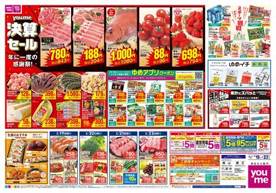 2/19号 週末チラシ