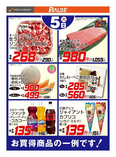 値下げしました。室蘭近郊お届け可能。 大輪胡蝶蘭 | 赤平オーキッド オンラインショップ