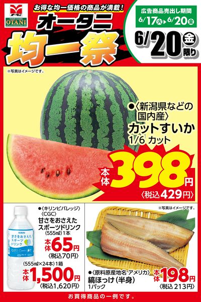 本日の日替商品はこちら!