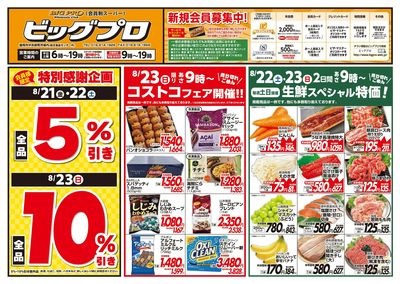 ビッグプロ