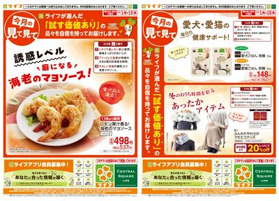 今月の見て見て