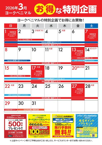 3月のお得な特別企画