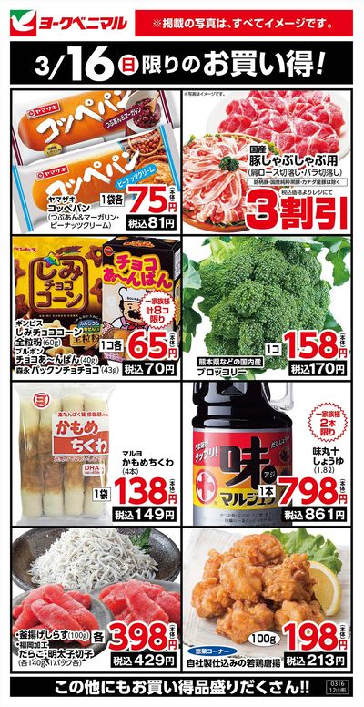 3/16限りのお買い得!