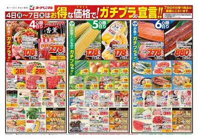 8/4号 オモテ
