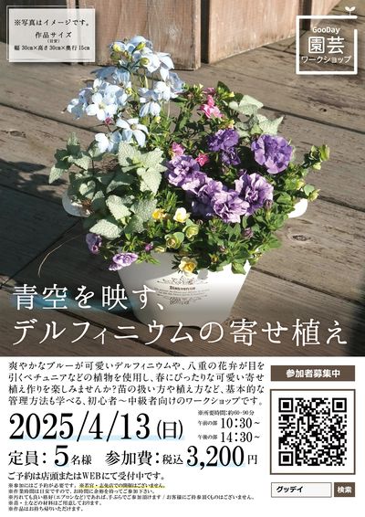 20250413開催_園芸デルフィニウム寄せ植えワークショップ