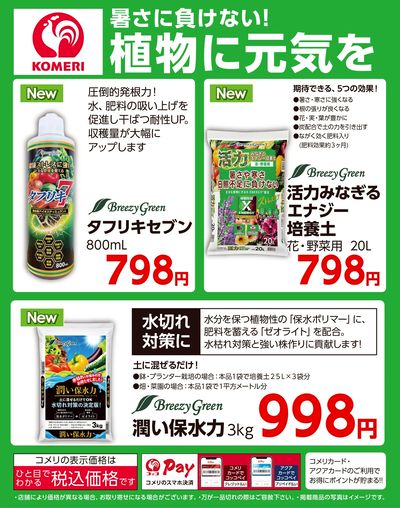 暑さに負けない!植物に元気を