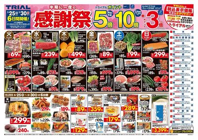 トライアル 岩木店_表