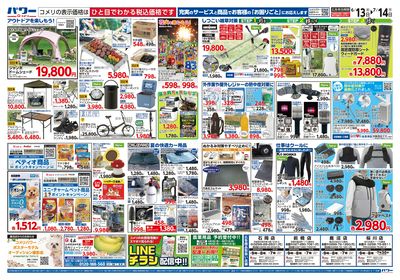 コメリパワー 6/13号 家計応援祭  ウラ