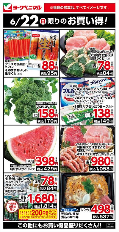 6/22限りのお買い得!
