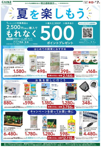 夏を楽しもう①