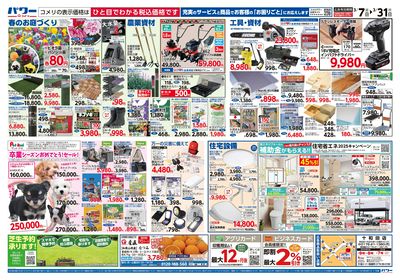 コメリパワー 3/7号 決算市 ウラ