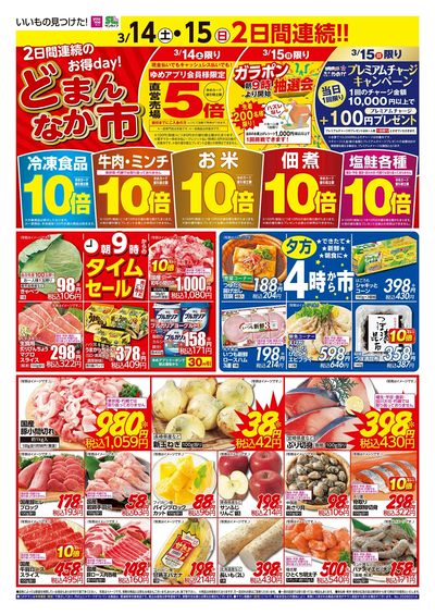3/14~15 どまんなか市