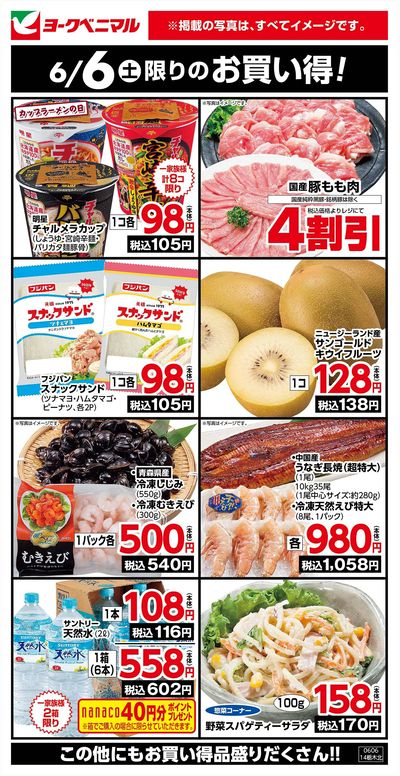 6/6限りのお買い得!
