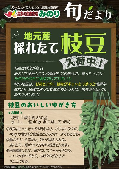 みのり_とれたて枝豆入荷しました!