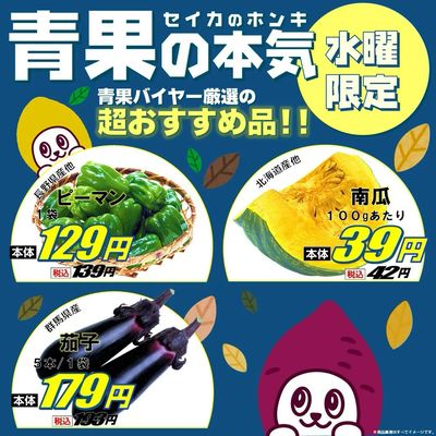 【9/2水曜限定】青果の本気おすすめ品