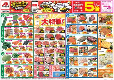 6月3日開始チラシ:表