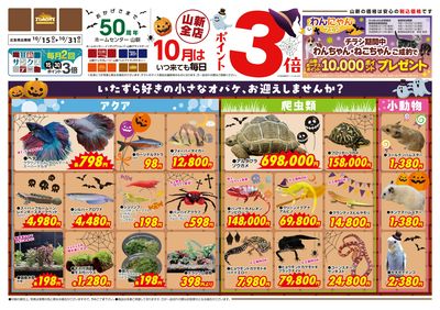 秋の大感謝祭(トモニー)