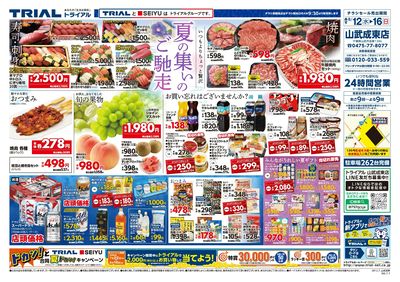 トライアル 山武成東店_表