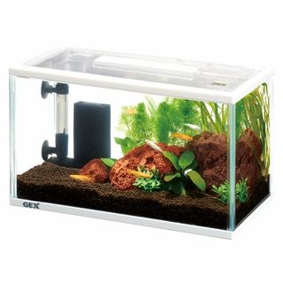 メダカ元気 メダカのための水槽セット300