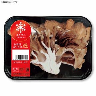 雪国まいたけ「極」食べ切りパック