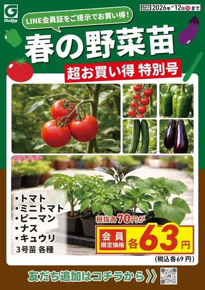 LINE友だち限定 超お買い得チラシ特別号 春の野菜苗