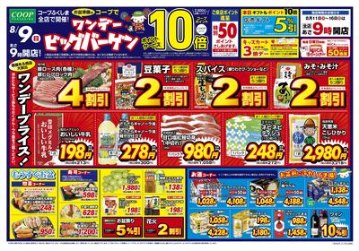 ワンデービッグバーゲン オモテ