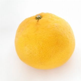 甘夏