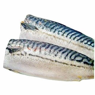 <鳥取県産>塩さば