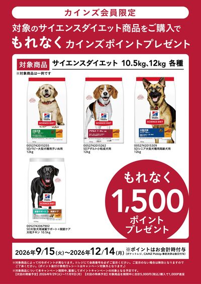 ヒルズポイントバックCP_9/15号