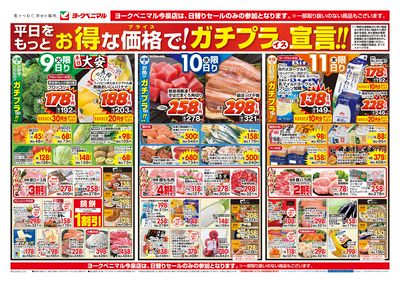 12/9号 オモテ