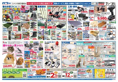 コメリパワー 3/7号 決算市 ウラ