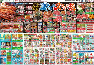 0719号-茨城裏