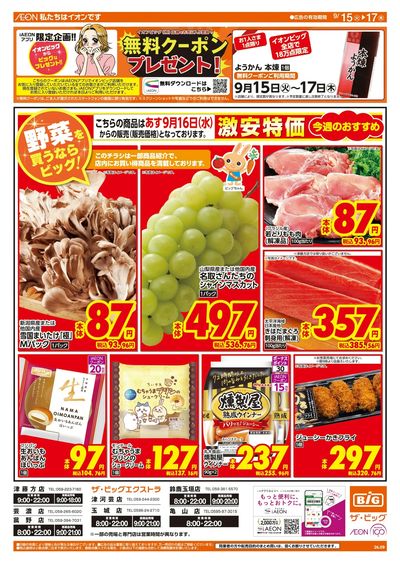 9/15週中チラシ(オモテ)