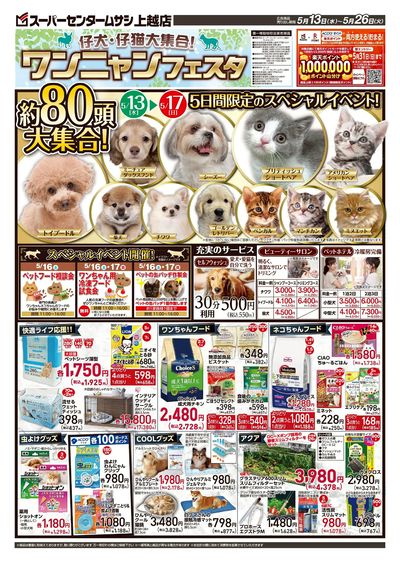 5月13日号チラシ 表面