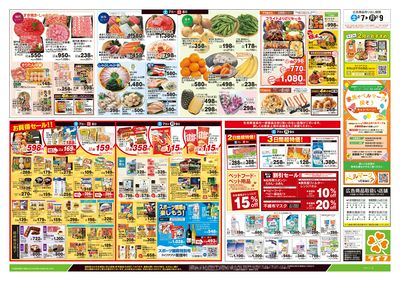 2/7号 総力祭/柑橘集めました