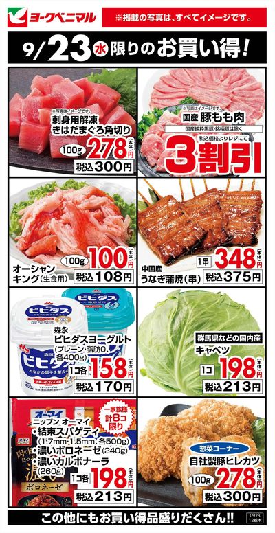 9/23限りのお買い得!