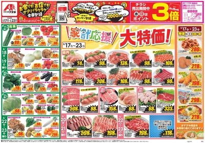 6月17日開始チラシ:表