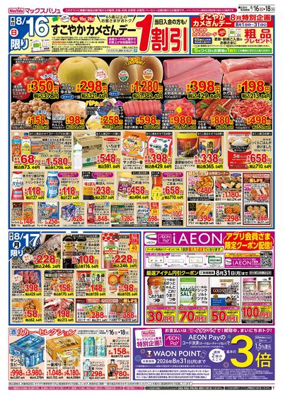8/16号 カメさんデー/火水曜市:オモテ