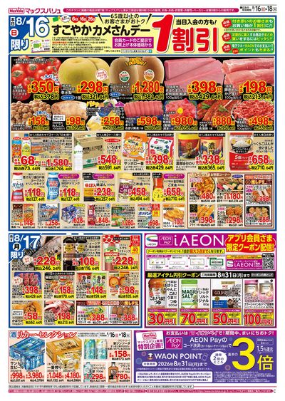 8/16号 カメさんデー/火水曜市:オモテ
