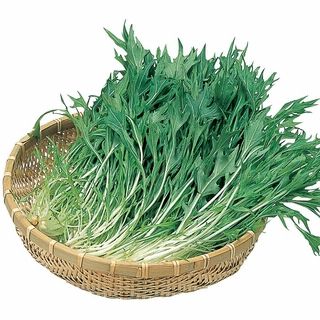 福岡産 水菜 1袋