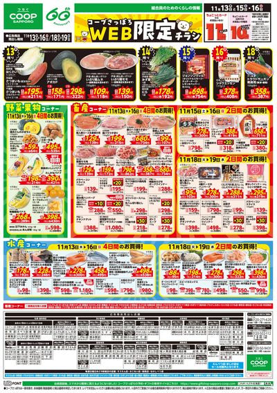 11/13号 WEB限定チラシ