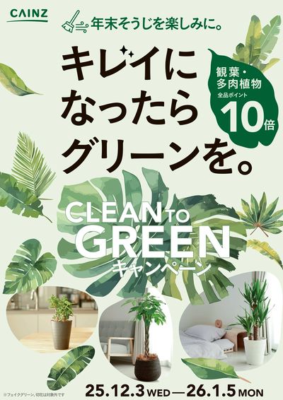 観葉植物ポイント10倍