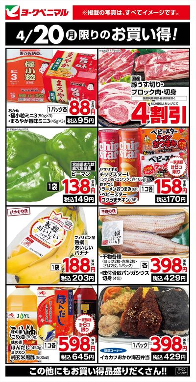 4/20限りのお買い得!